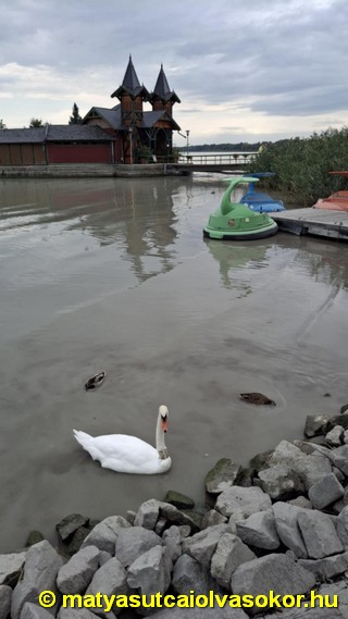 A Hévízi-tófürdő látképe.