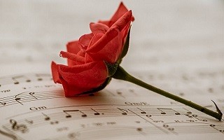 A képen egy nyitott kottára helyezett piros rózsa látható.